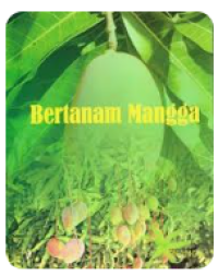 Image of Bertanam Mangga