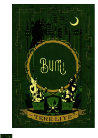 Image of Bumi