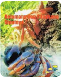 Image of Kelomang dan Cangkang Siputnya