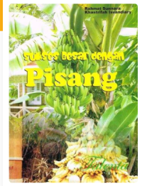 Image of Sukses Besar dengan Pisang